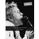 Public Image Ltd - Live At Rockpalast [DVD]